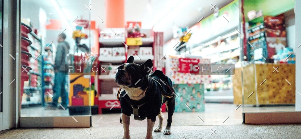 demo-attachment-587-Mask-Group-10